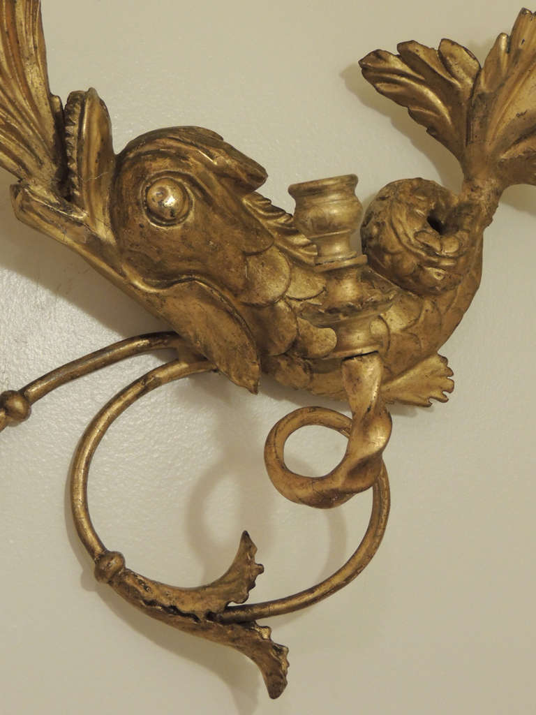 19th Century American Dolphin Giltwood Sconces