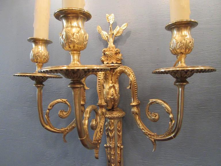 Pair of 19th Century French Régence Bronze Doré Sconces with Grapes