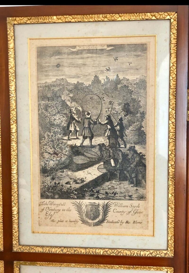 Set of 24 Engravings by Richard Blome Framed in Pair of Regency Screens - Image 7