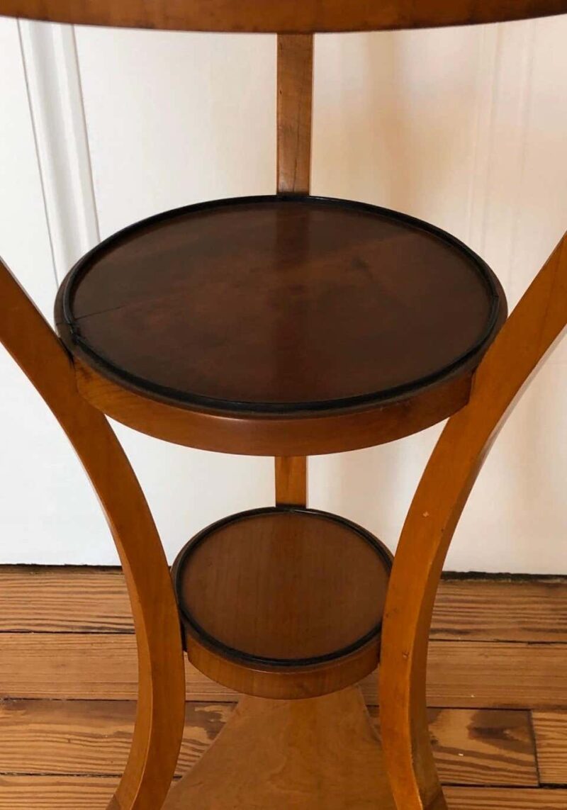 Viennese Biedermeier Étagère / Round Collection Display Table - Image 4