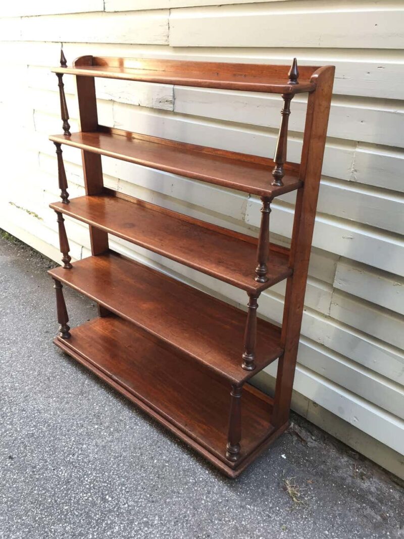 19th Century Barbados Regency Cedrela Bookcase - Image 3