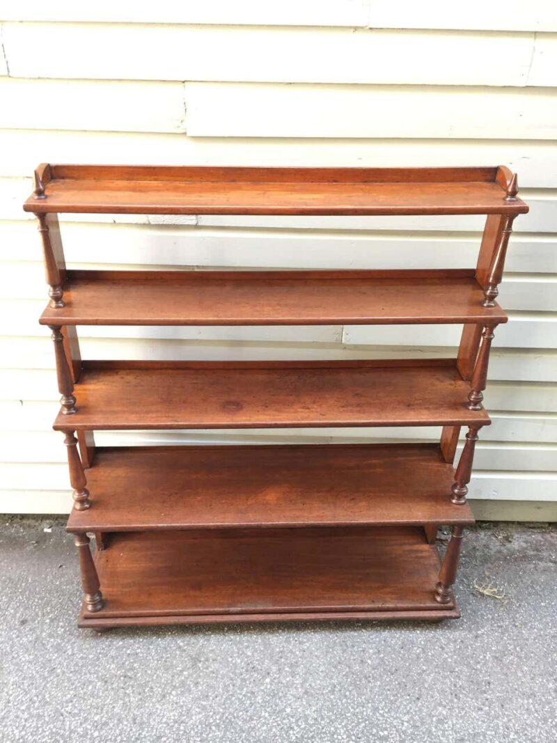 19th Century Barbados Regency Cedrela Bookcase - Image 4
